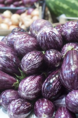 Patlıcan çizgili Market