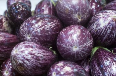 Patlıcan çizgili Market