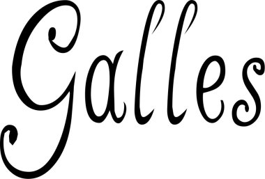 Galler metin işareti