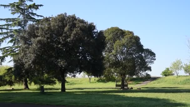 Parco Degli Acquedotti Roma Nella Stagione Primaverile — Video Stock