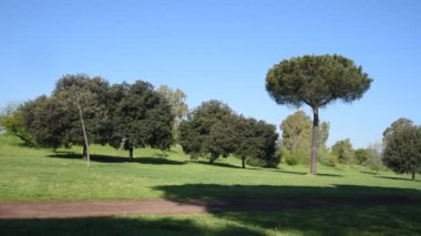 Bahar mevsiminde Roma 'da su kemerleri parkı
