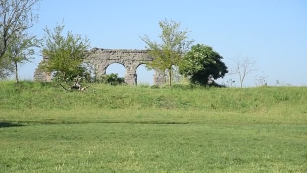Park Akweduktów Rzymie Sezonie Wiosennym — Wideo stockowe