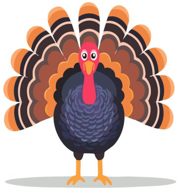 Çizgi film hindisi canlı kuyruk tüylerini gösteriyor, sonbahar, sonbahar ve şükran günü için mükemmel.