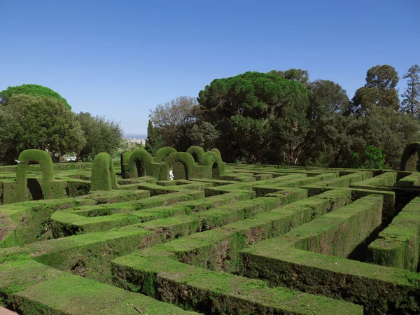 Englisches Labyrinth mit blauem Himmel — Stockfoto