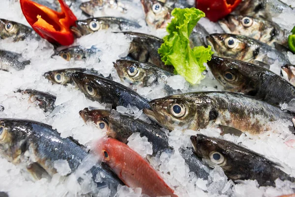 Fishmonger Shelf Supermarket Fresh Fish — Stock Photo, Image