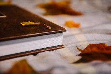 Kalın bir kitabın köşesinde beyaz deri kaplı sayfalar ve sarı akçaağaç yapraklarının arasında masa örtüsünün üzerinde doğal bir ahşap kapak. Kitabı kapat.