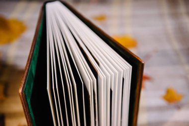 Genişletilmiş bir kitap, üst görünüm. Kitabın sayfaları sarı akçaağaç yapraklarının arka planına doğru yayılmış. Kalın sayfalar kapat