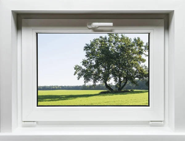 Neues Kleines Weißes Plastikfenster Mit Blick Auf Die Landschaft — Stockfoto