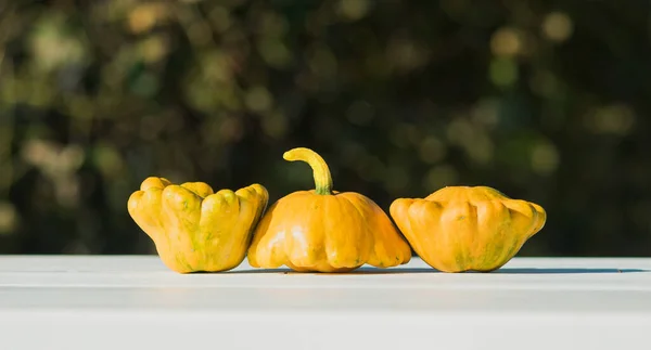 Des Courges Sont Sur Table Dans Jardin Légumes Sont Jaunes — Photo