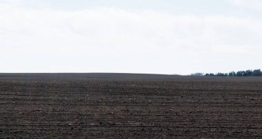 Güneşli bir gökyüzüne karşı koyu renkli tarla sürdüm.