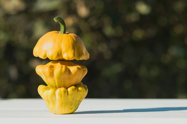 Des Courges Sont Sur Table Dans Jardin Légumes Sont Jaunes — Photo