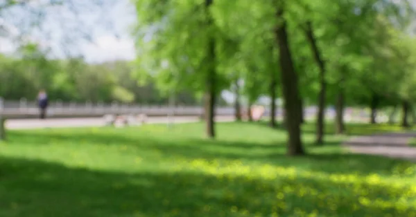 Yazın ahşap dekoratif banklarla dolu bir şehir parkının bulanık görüntüsü.