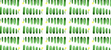 Farklı boyutlarda taze salatalık meyveleri.