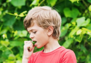 Küçük bir çocuk bahçede taze yeşil bir salatalık yiyor.