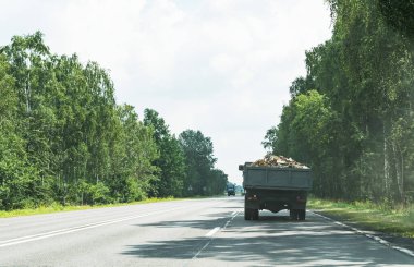 Eski bir yük vagonu yolda yakacak odun taşır.