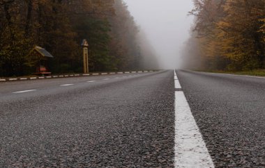 Sonbahar ormanındaki yol manzarası, sisli bulutlu bir günde