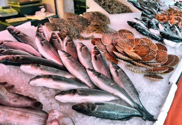 Verse vis en zeevruchten op het display — Stockfoto