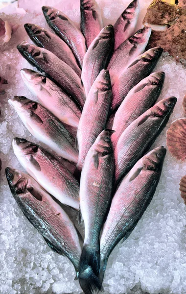 Lubina en pantalla mercado de pescado — Foto de Stock