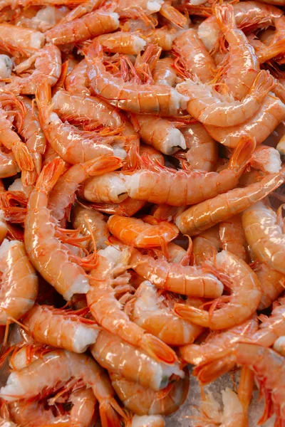 Shrimp on the counter market — Stock Photo, Image
