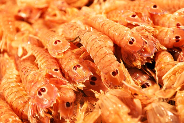 Camarão no mercado de balcão — Fotografia de Stock