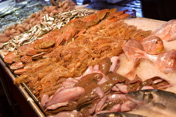 Showcase of seafood in the sea market — Stock Photo, Image