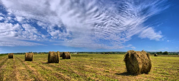 Jordbrukare fältet med höbalar — Stockfoto