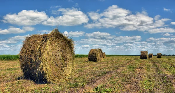 Boeren veld met hooibalen — Stockfoto