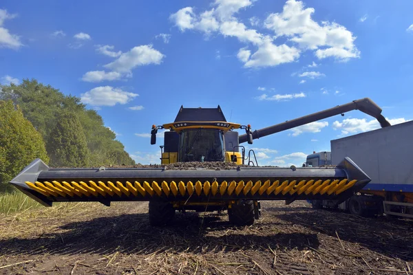 Harvester for harvesting sunflower crop — Stock Photo, Image