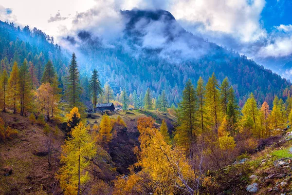 Splendido Paesaggio Alpino Autunnale Con Foresta Sequoie Colorate Bellissimi Larici — Foto Stock