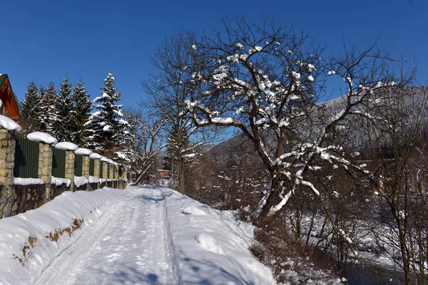 Paysage Typique Des Carpates Ukrainiennes Avec Des Propriétés Privées Hiver — Photo