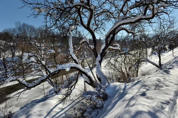 Τυπικό Τοπίο Της Ουκρανίας Καρπάθια Ιδιωτικά Ακίνητα Χειμώνα — Φωτογραφία Αρχείου
