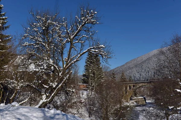 Paysage Typique Des Carpates Ukrainiennes Avec Des Propriétés Privées Hiver — Photo