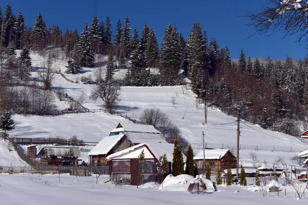 Paesaggio Tipico Dei Carpazi Ucraini Con Proprietà Private Inverno Fotografia Stock