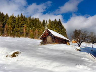 Kışın özel mülkleri olan Ukrayna Karpatlarının tipik manzarası