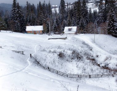 Kışın özel mülkleri olan Ukrayna Karpatlarının tipik manzarası