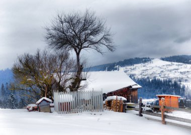Kışın özel mülkleri olan Ukrayna Karpatlarının tipik manzarası