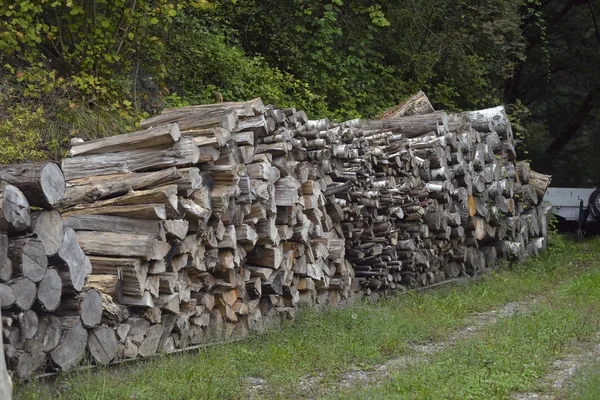 Firewood for heating stacked in piles — Stock Photo, Image
