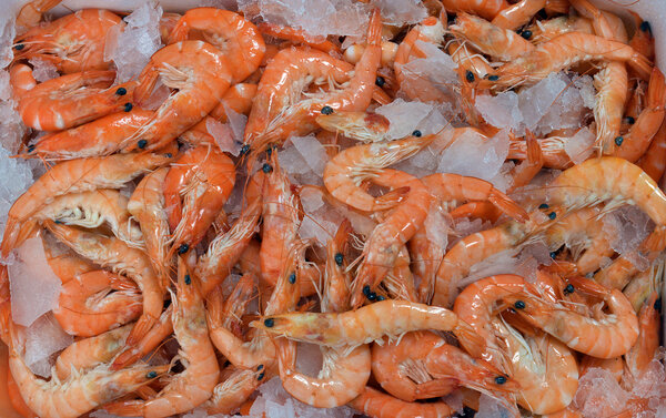 shrimp on a bed of crushed ice