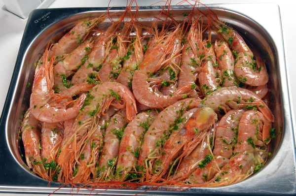 Freshly cooked prawns - shrimp — Stock Photo, Image