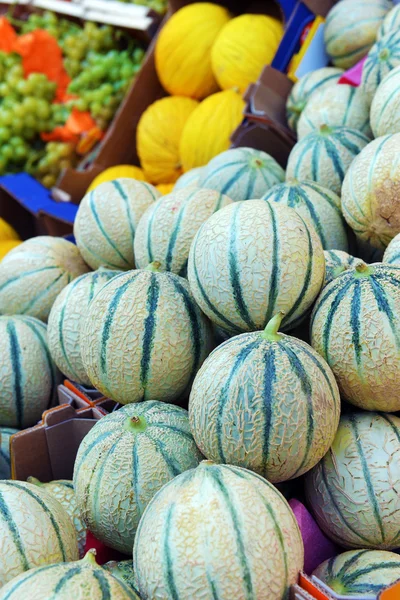 Melons sur un comptoir — Photo