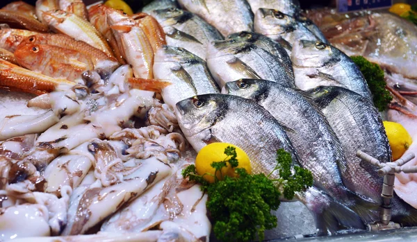 Vitrine de frutos do mar — Fotografia de Stock