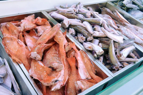 Pescado congelado en la tienda de pescado — Foto de Stock