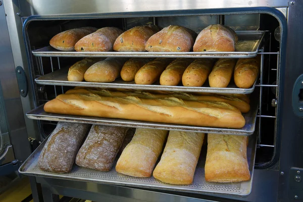 Vers gebakken brood uit de oven — Stockfoto