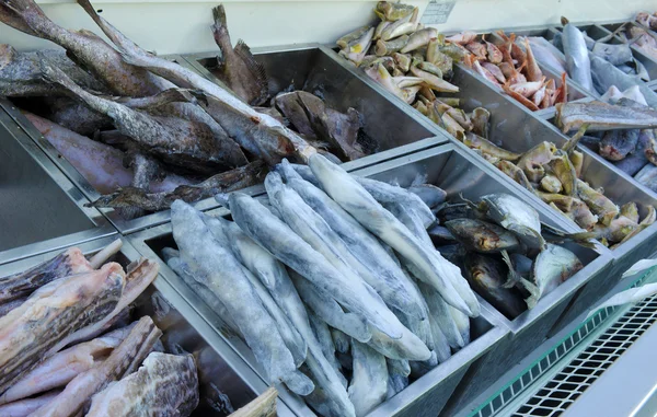 Pescado congelado en la tienda de pescado — Foto de Stock