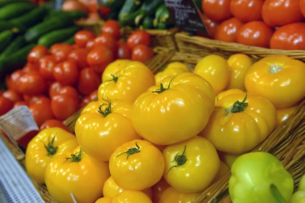 Tomates amarillos y rojos en exhibición — Foto de Stock