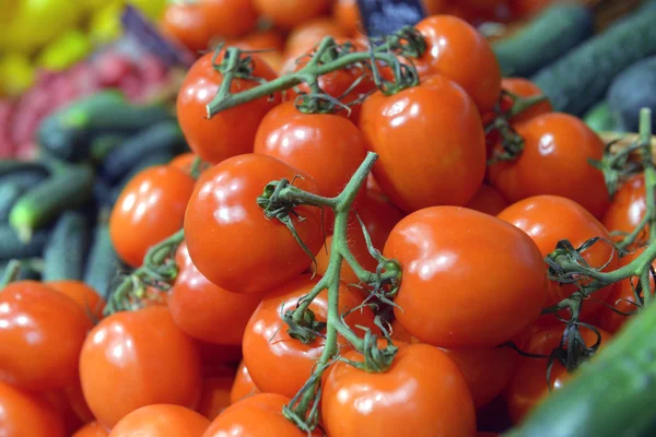 Tomates em exposição em um supermercado — Fotografia de Stock