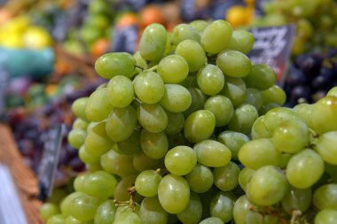 grapes on display in a supermarket