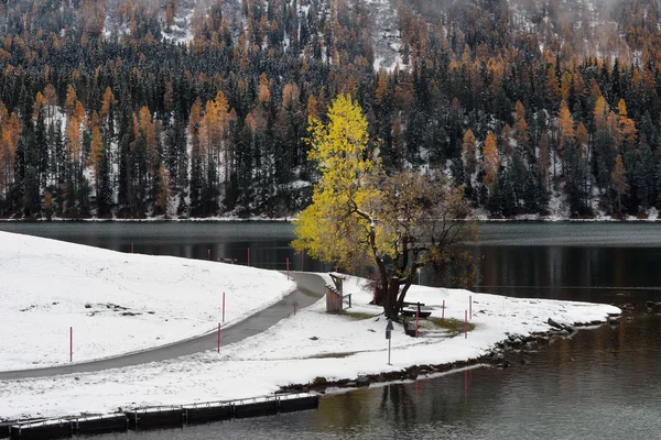 Jezioro St. Moritz jesienią — Zdjęcie stockowe