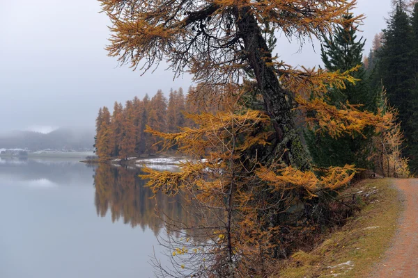 Lago di St. Moritz con la prima neve in autunno — Foto Stock