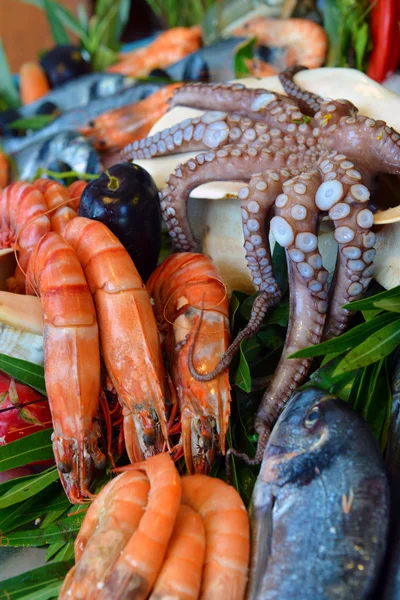 Mostra-finestra di frutti di mare — Foto Stock